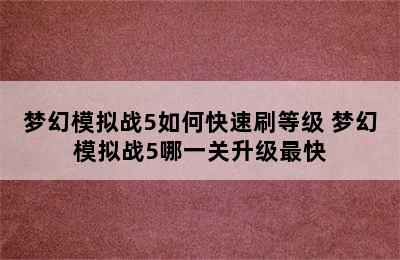 梦幻模拟战5如何快速刷等级 梦幻模拟战5哪一关升级最快